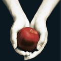 Cover Art for B00NVHNX80, Twilight by Stephenie Meyer