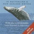 Cover Art for 9781877069031, Whale Watching in Australian and New Zealand Waters by C. Burke ; P. Gill