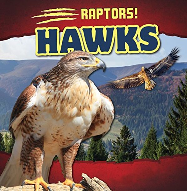 Cover Art for 9781508142492, Hawks by Matthew Bates, Matt Bates