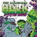 Cover Art for 9781302945336, Incredible Hulk By Peter David Omnibus Vol. 2 by Marvel Comics