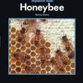 Cover Art for 9780382240119, Honeybee by Barrie Watts