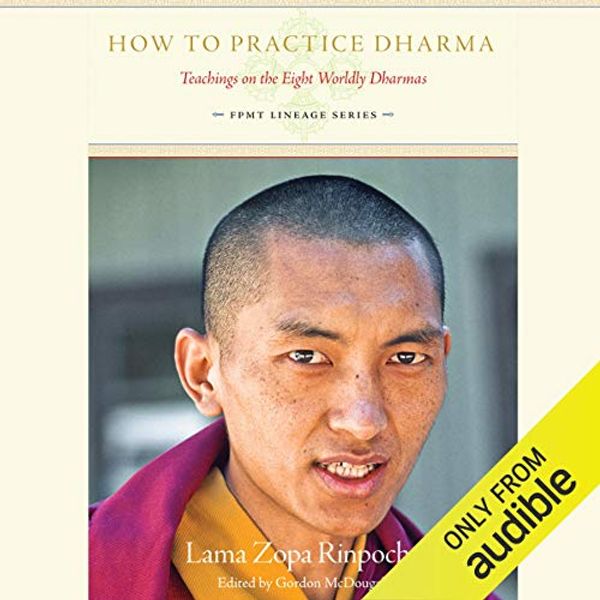 Cover Art for B00ZJBGH0W, How to Practice Dharma: Teachings on the Eight Worldly Dharmas by Lama Zopa Rinpoche, Gordon McDougall (editor)