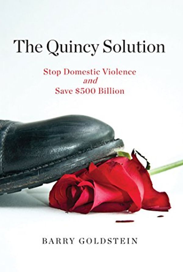 Cover Art for 9781934759868, The Quincy Solution by Barry Goldstein