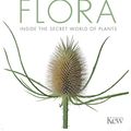 Cover Art for 9780241254806, Flora: The Definitive Visual Guide to the Plant Kingdom by Dk