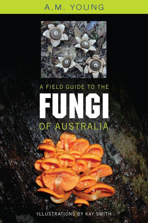 Cover Art for 9780868407425, A Field Guide to the Fungi of Australia by Tony Young