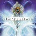 Cover Art for 9780738750156, Betwixt and Between: Exploring the Faery Tradition of Witchcraft by Storm Faerywolf