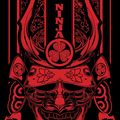 Cover Art for 9781848873872, Blood Ninja by Nick Lake
