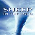 Cover Art for 9781440473531, Sheep in the Fold by Greg Pierce