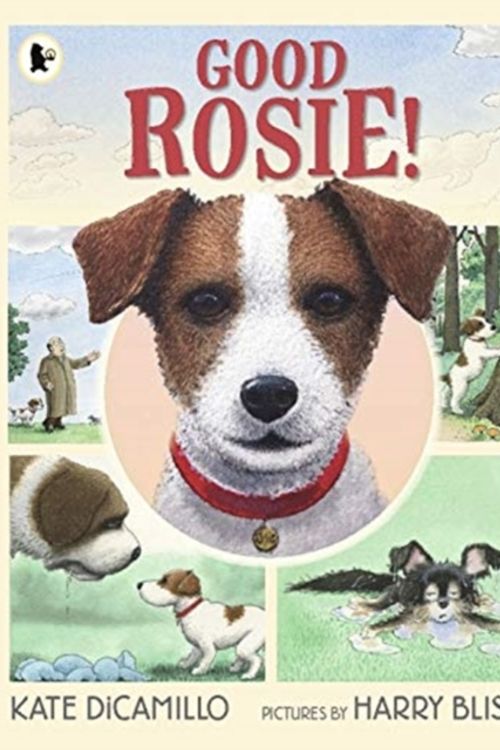 Cover Art for 9781406386820, Good Rosie! by DiCamillo, Kate