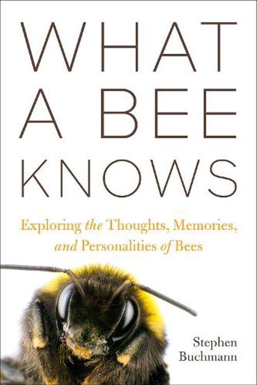 Cover Art for 9781642831245, What a Bee Knows: Exploring the Thoughts, Memories, and Personalities of Bees by Buchmann, Stephen L