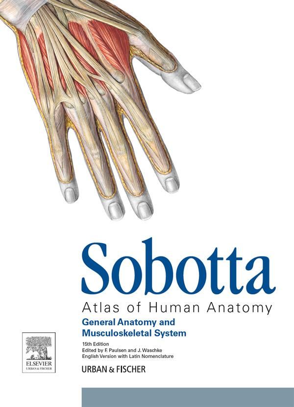 Cover Art for 9783437296864, Sobotta Atlas of Human Anatomy, Vol.1, 15th ed, English/Latin by Friedrich Paulsen, Jens Waschke