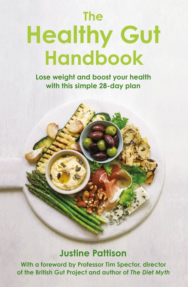 Cover Art for 9781409166917, The Healthy Gut Handbook by Justine Pattison