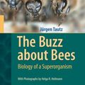 Cover Art for 9783540787273, The Buzz About Bees by Jürgen Tautz