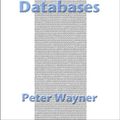Cover Art for 9780967584416, Translucent Databases by Peter Wayner