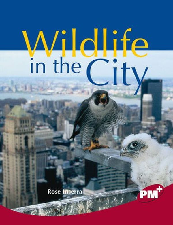 Cover Art for 9780170099370, Wildlife in the City by Rose Inserra
