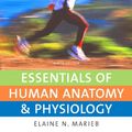 Cover Art for 9780321513427, Essentials of Human Anatomy and Physiology by Elaine N. Marieb