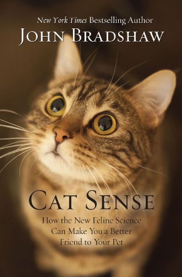 Cover Art for 9781410466174, Cat Sense by John Bradshaw