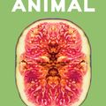 Cover Art for 9781760877798, New Animal by Ella Baxter