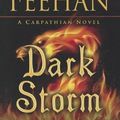Cover Art for 9781410452184, Dark Storm by Christine Feehan