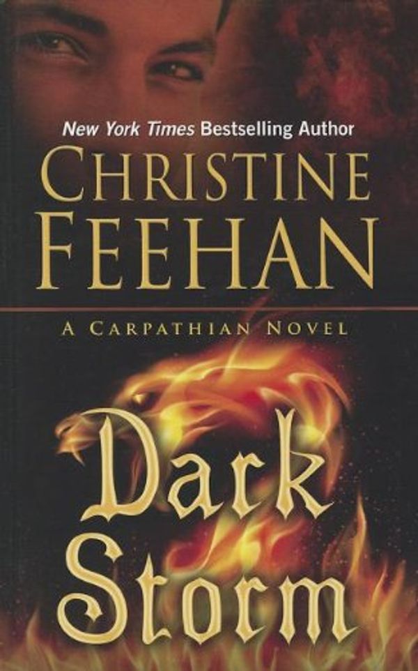 Cover Art for 9781410452184, Dark Storm by Christine Feehan