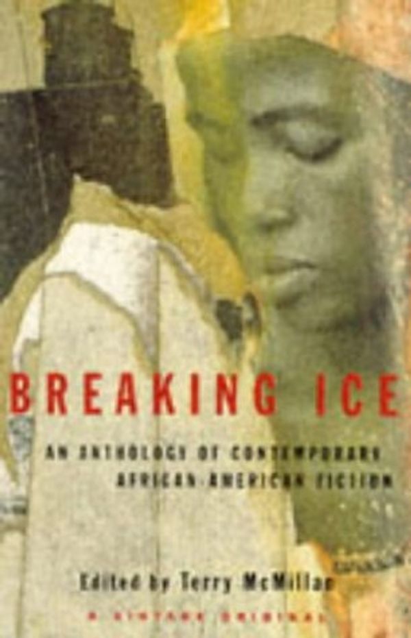 Cover Art for 9780099876502, Breaking Ice: An Anthology of Contemporary African-American Fiction by Terry McMillan