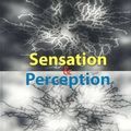 Cover Art for 9780878939381, Sensation and Perception by Jeremy M. Wolfe, et Al