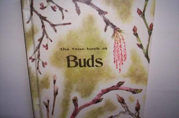 Cover Art for 9780516010243, The True Book of Buds: Surprise Packages. by Helen Ross, Russell