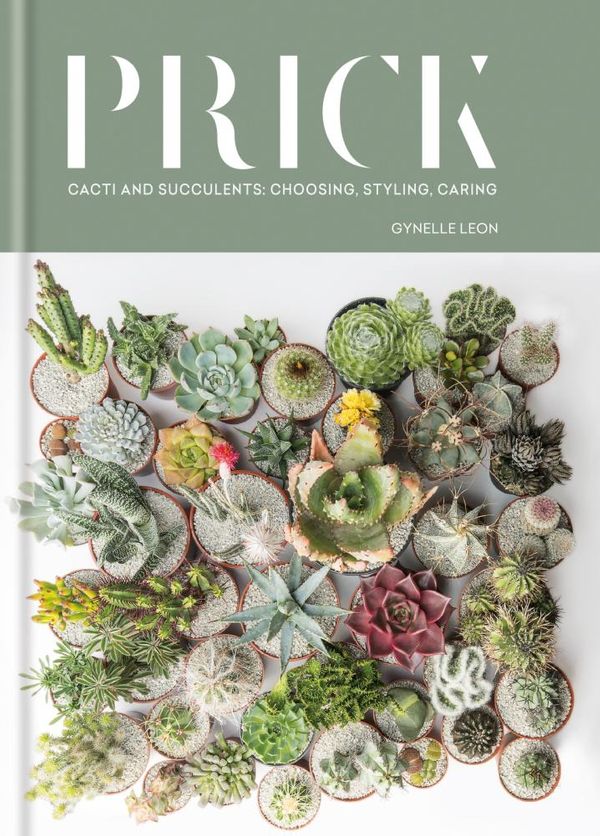 Cover Art for 9781784723941, Prick: Cacti and Succulents: Choosing, Styling, Caring by Gynelle Leon