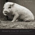 Cover Art for 9780226391373, Allowed to Grow Old: Portraits of Elderly Animals from Farm Sanctuaries by Isa Leshko