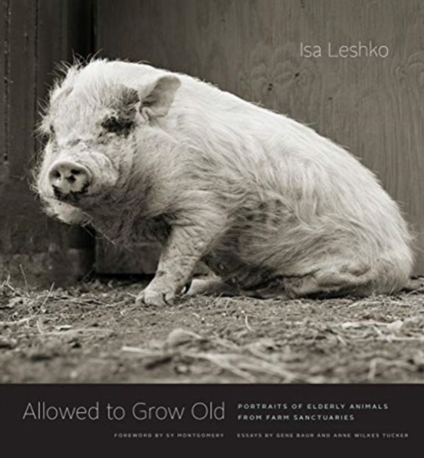 Cover Art for 9780226391373, Allowed to Grow Old: Portraits of Elderly Animals from Farm Sanctuaries by Isa Leshko