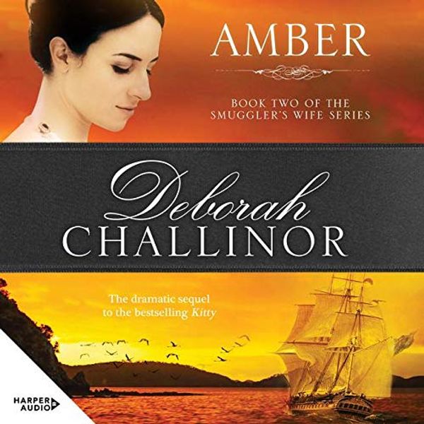 Cover Art for 9781869506322, Amber by Deborah Challinor