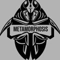 Cover Art for 9781800603356, Metamorphosis by Franz Kafka