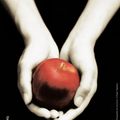 Cover Art for 9782012019706, Fascination by Stephenie Meyer