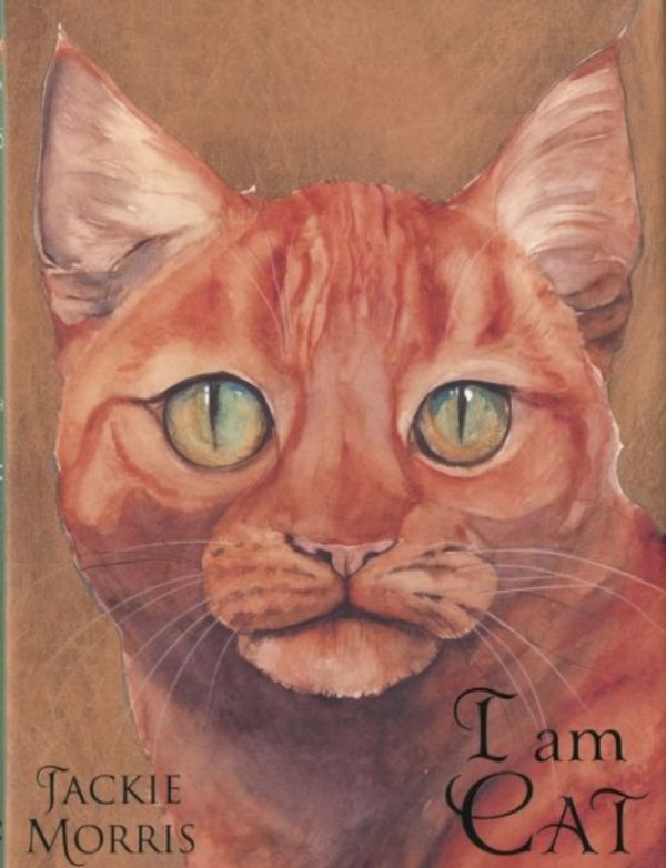 Cover Art for 9781847801357, I am Cat by Jackie Morris