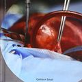 Cover Art for 9781502643797, Organ Transplants by Cathleen Small