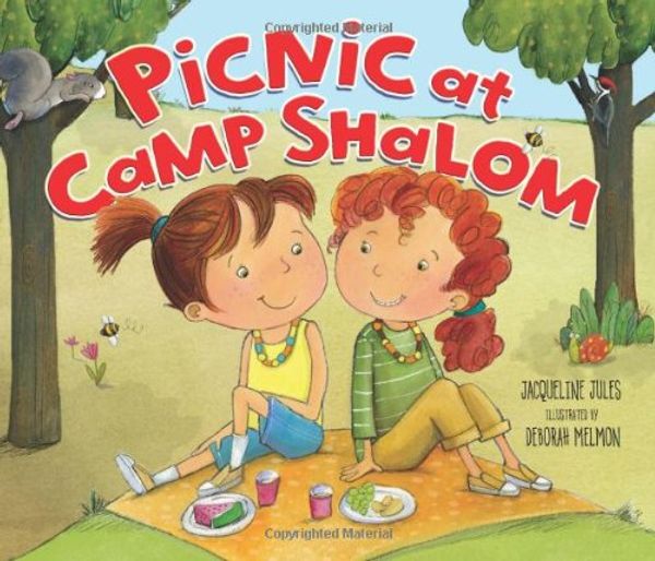 Cover Art for 9780761366614, Picnic at Camp Shalom by Jacqueline Jules