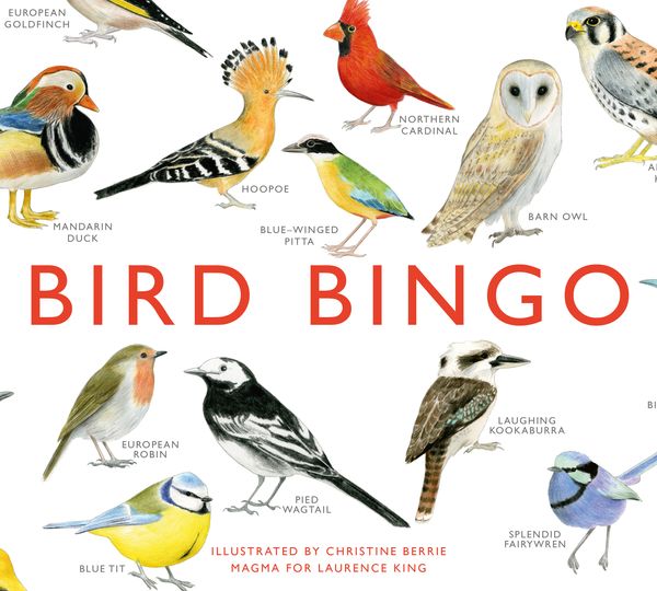 Cover Art for 9781856699174, Bird Bingo by Christine Berrie