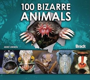 Cover Art for 9781841623009, 100 Bizarre Animals by Unwin, Mike