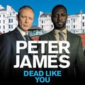 Cover Art for 9781509826513, Dead Like You by Peter James