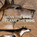 Cover Art for 9781452654256, How the Dog Became the Dog by Mark Derr
