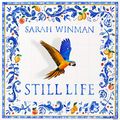 Cover Art for B092DN3MBS, Still Life by Sarah Winman