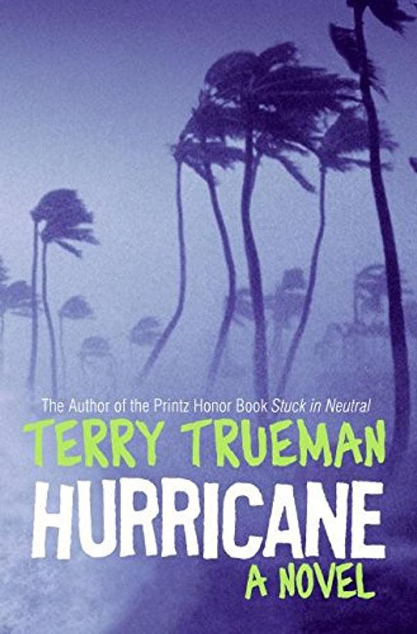 Cover Art for 9780060000196, Hurricane by Terry Trueman