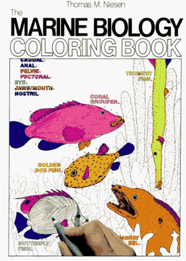 The Marine Biology Colouring Book Price Comparison on Booko