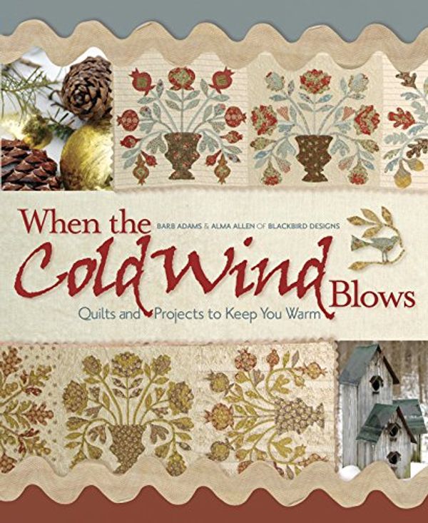 Cover Art for 9781933466781, When the Cold Wind Blows: Quilts and Projects to Keep You Warm by Barb Adams, Alma Allen