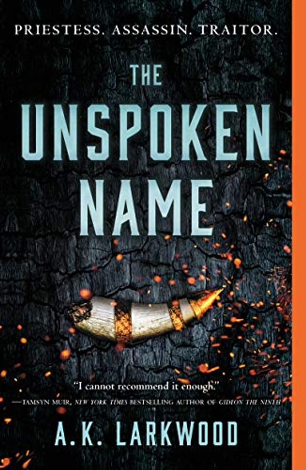 Cover Art for 9781250238924, The Unspoken Name by A K. Larkwood