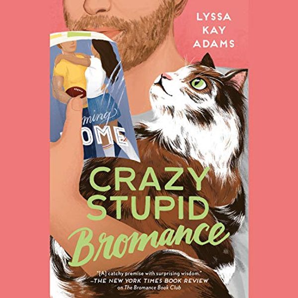 Cover Art for B086CCGH7L, Crazy Stupid Bromance by Lyssa Kay Adams