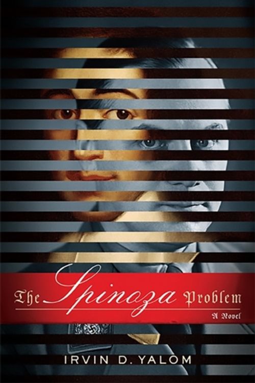 Cover Art for 9780465061853, Spinoza Problem by Irvin D. Yalom