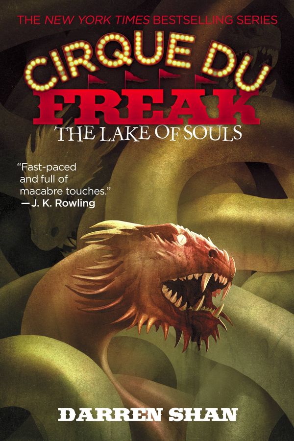 Cover Art for 9780316016650, Cirque Du Freak #10: The Lake of Souls by Darren Shan