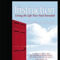 Cover Art for 9781458729316, The Instruction by Ainslie MacLeod