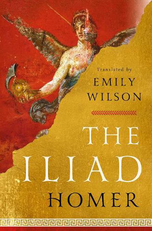 Cover Art for 9781324001805, The Iliad by Homer